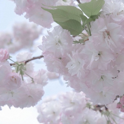 兽设沙漠场景绘制福瑞交流群